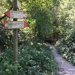 Su Da Noi
