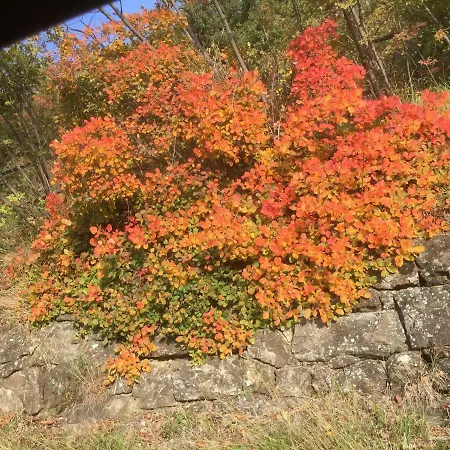 فندق مبيت وإفطار Su Da Noi San Dorligo della Valle