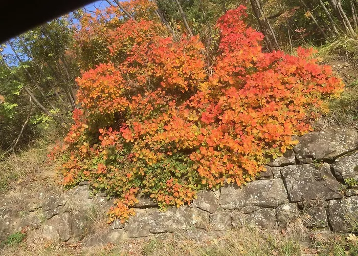 Bed & Breakfast Su Da Noi San Dorligo della Valle